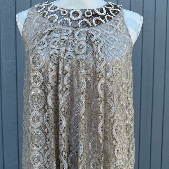 Alfani Taupe Lace Dress - Picture 3 of 12